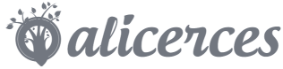 Alicerces do Ensino
